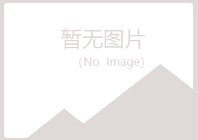 兴山县傲蕾能源有限公司